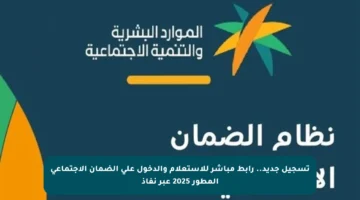 تسجيل جديد.. رابط مباشر للاستعلام والدخول على الضمان الاجتماعي المطور 2025 عبر نفاذ